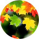 Rubaiyat Noor Rubaiyat Noor